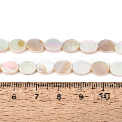 Electroplated Natural Freshwater Shell Beads Strands&nbsp;SHEL-N038-27