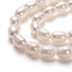 Natural Cultured Freshwater Pearl Beads Strands&nbsp;PEAR-L033-58-01