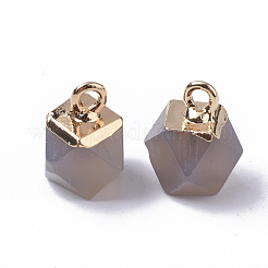 Natural Grey Agate Charms&nbsp;G-S359-015D