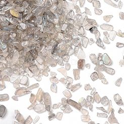 Natural Labradorite Beads&nbsp;G-O103-22