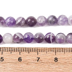 Natural Chevron Amethyst Beads Strands&nbsp;G-P428-04A-6mm