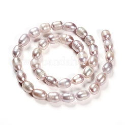 Natural Cultured Freshwater Pearl Beads Strands&nbsp;LS-PEAR-R064-16