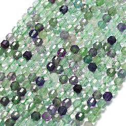 Natural Fluorite Beads Strands&nbsp;G-A260-A50-01