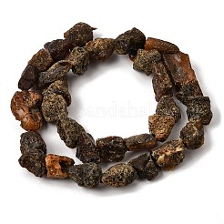 Raw Rough Natural Amber Beads Strands&nbsp;GG-CBAC13F-D01-02