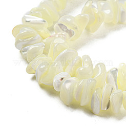 Natural Trochus Shell Beads Strands&nbsp;SSHEL-H072-12