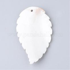 Freshwater Shell Big Pendants&nbsp;SHEL-S249-02