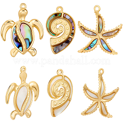 6Pcs 6 Styles Natural Mixed Shell Pendants&nbsp;STAS-BBC0008-99