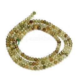 Natural Green Garnet Beads Strands&nbsp;GG-CBA77FB-C01-01