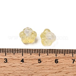 Transparent Glass Beads&nbsp;GLAA-D304-01E