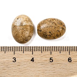 Natural Picture Jasper Cabochons&nbsp;G-B085-06D-03