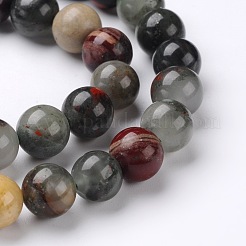 Natural African Bloodstone Beads Strands&nbsp;G-L383-06-12mm