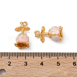 Alloy Enamel Pendants&nbsp;PALLOY-P317-02G-01