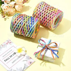 2 Rolls 2 Colors 80M Raffia Ribbon&nbsp;OCOR-CJ0004-10