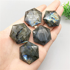 Natural Labradorite Cabochons&nbsp;G-PW0003-04