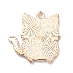 Halloween Alloy Enamel Pendants&nbsp;ENAM-P248-01G-A