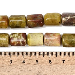 Natural Dragon Blood Jasper Beads Strands&nbsp;G-S396-03C