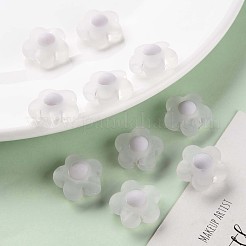 Transparent Acrylic Beads&nbsp;TACR-S152-09C-06