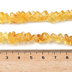 Natural Amber Beads Strands&nbsp;G-K376-C02-01