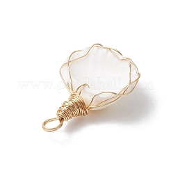 Copper Wire Wrapped Natural Shell Pendants&nbsp;PALLOY-JF03494