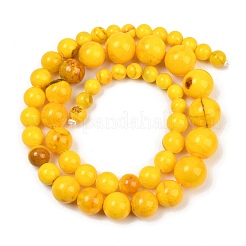 Natural Persian Jade Graduated Beads Strands&nbsp;GG-CBA2AE1-A05-B