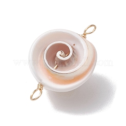 Natural Shiva Eye Shell Links Connector Charms with Real 18K Gold Plated Copper Wire Double Loops&nbsp;PALLOY-JF02629