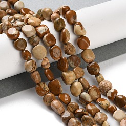 Natural Picture Jasper Beads Strands&nbsp;G-P497-01C-25
