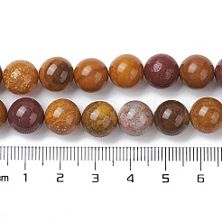 Natural Ocean Jasper Beads Strands&nbsp;G-C102-B01-03