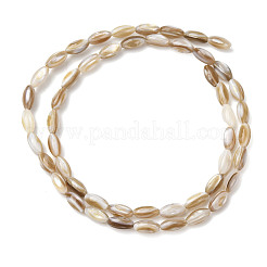 Natural Freshwater Shell Beads Strands&nbsp;SHEL-K006-78A