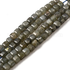 Natural Labradorite Beads Strands&nbsp;G-F797-A09-01