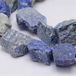 Raw Rough Natural Lapis Lazuli Beads Strands&nbsp;G-E343-13