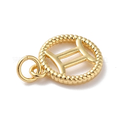 Brass Charms&nbsp;KK-A160-20G-04