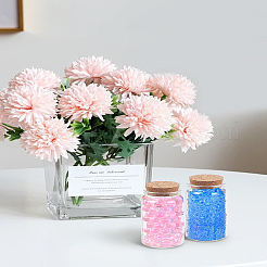 2Pcs Empty Glass Bottle&nbsp;AJEW-LP0010-80
