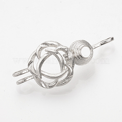 Alloy Diffuser Locket Pendants&nbsp;PALLOY-S105-01P
