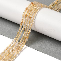 Natural Gold Rutilated Quartz Beads Strands&nbsp;G-B090-A30-03