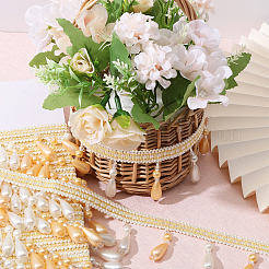 6M Polyester Fringe Trimming&nbsp;AJEW-GL0002-70