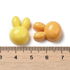Opaque Resin Cabochons&nbsp;RESI-F050-07