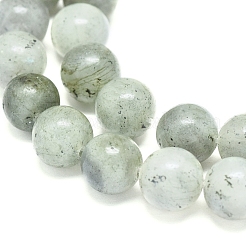 Natural Labradorite Beads Strands&nbsp;G-G828-01-10mm