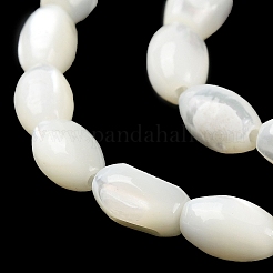 Natural Trochus Shell Beads Strands&nbsp;BSHE-E030-02C