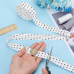 Polyester Ribbon&nbsp;OCOR-WH0111-170