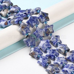 Natural Blue Spot Jasper Beads Strands&nbsp;G-NH0005-002