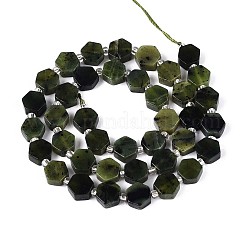 Natural Canadian Jade Beads Strands&nbsp;G-P534-A18-01