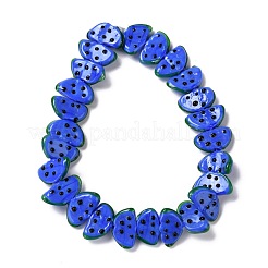 Handmade Lampwork Beads Strands&nbsp;LAMP-I022-29H