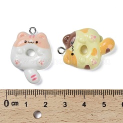 Resin Pendants&nbsp;FIND-K022-03P