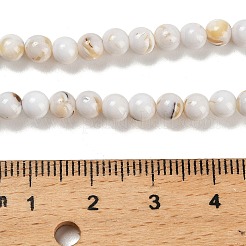 Assembled Synthetic Stone and Trochus Shell Beads Strands&nbsp;G-B128-08A-01