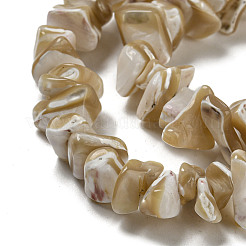 Natural Trochus Shell Beads Strands&nbsp;SSHEL-H072-09