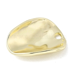 Alloy Pendants&nbsp;FIND-L025-17G