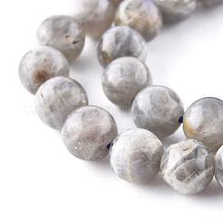 Natural Labradorite Beads Strands&nbsp;X-G-G212-8mm-23