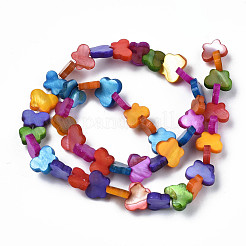 Dyed Natural Freshwater Shell Beads Strands&nbsp;SHEL-T009-B18