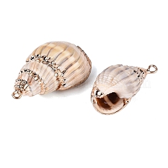 Electroplate Natural Spiral Shell Pendants&nbsp;SSHEL-Q100-29KCG
