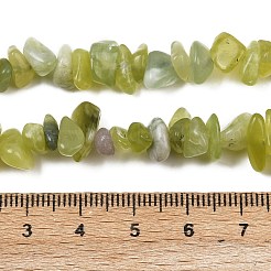 Natural Jade Chip Beads Strands&nbsp;G-B160-B02